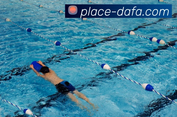 大发彩票服务体系